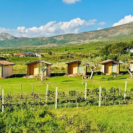 Fishta Guesthouse - Mrizi I Zanave Fishte Exteriér fotografie