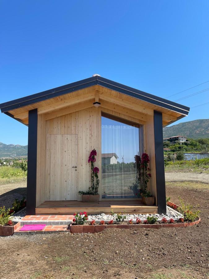 Fishta Guesthouse - Mrizi I Zanave Fishte Exteriér fotografie