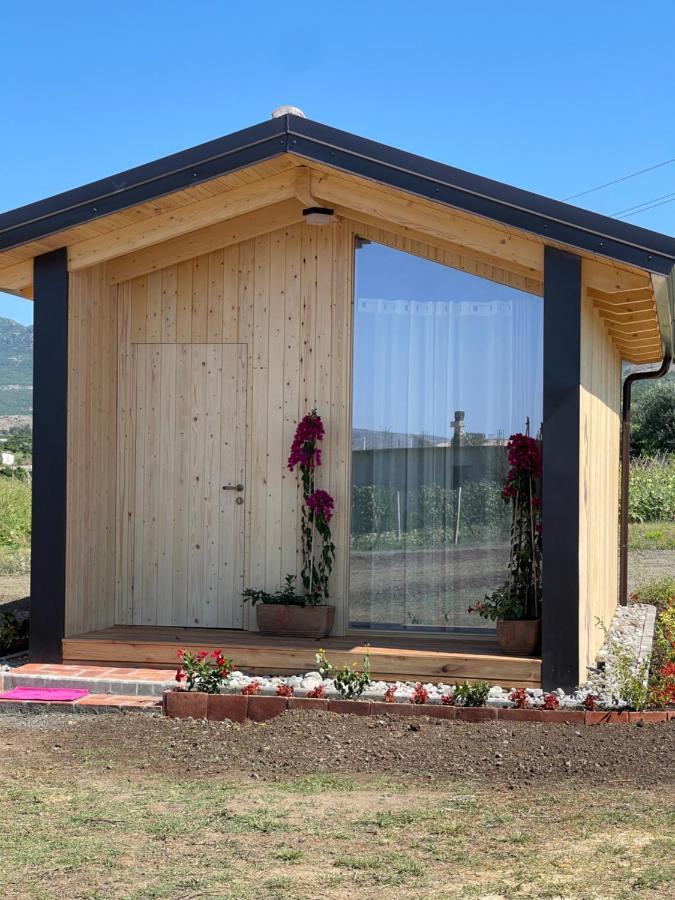 Fishta Guesthouse - Mrizi I Zanave Fishte Exteriér fotografie