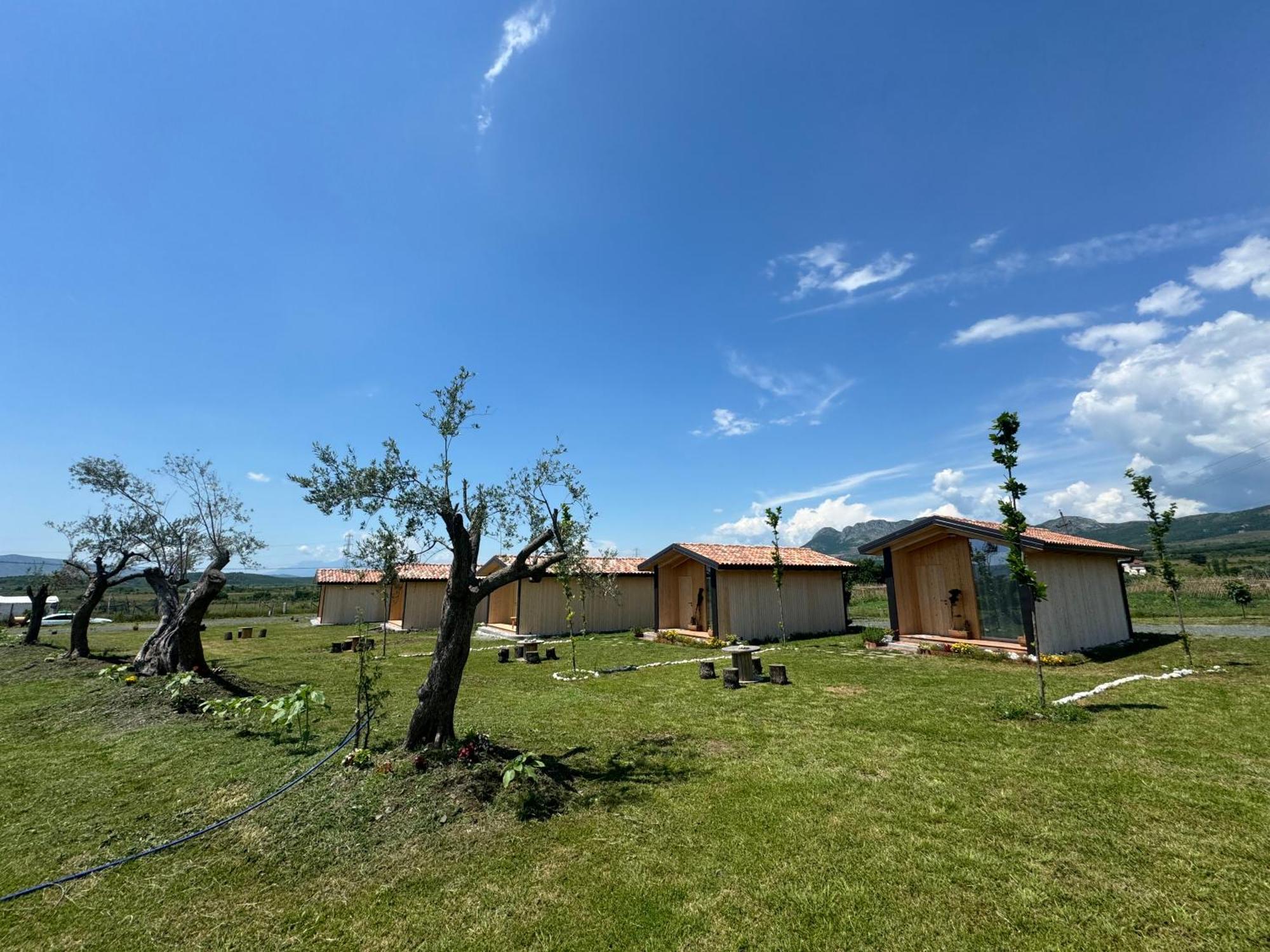 Fishta Guesthouse - Mrizi I Zanave Fishte Exteriér fotografie
