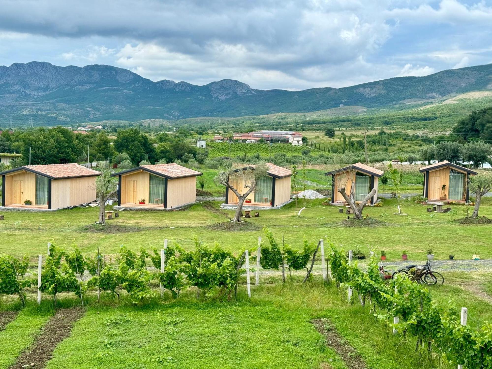 Fishta Guesthouse - Mrizi I Zanave Fishte Exteriér fotografie