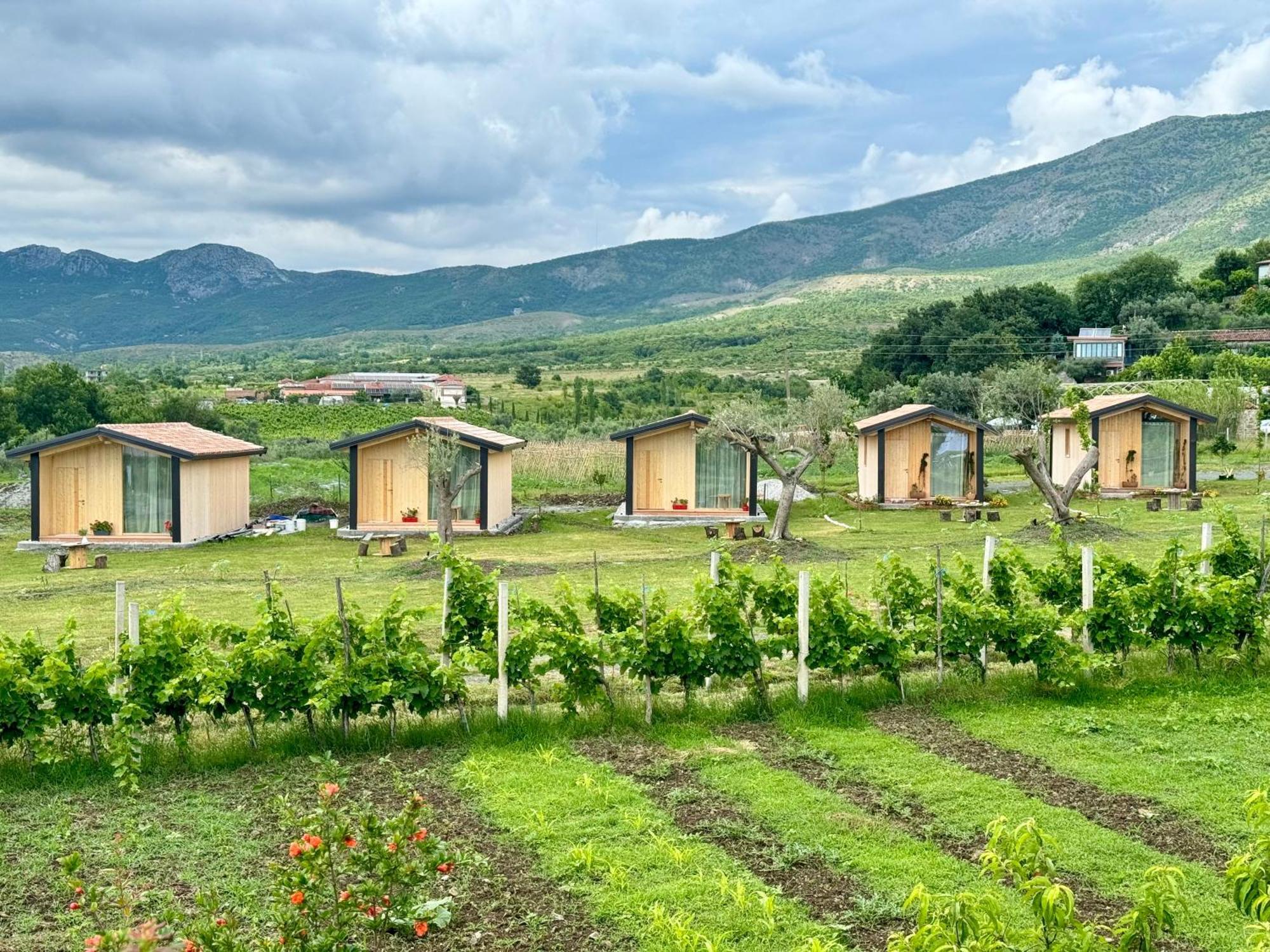 Fishta Guesthouse - Mrizi I Zanave Fishte Exteriér fotografie