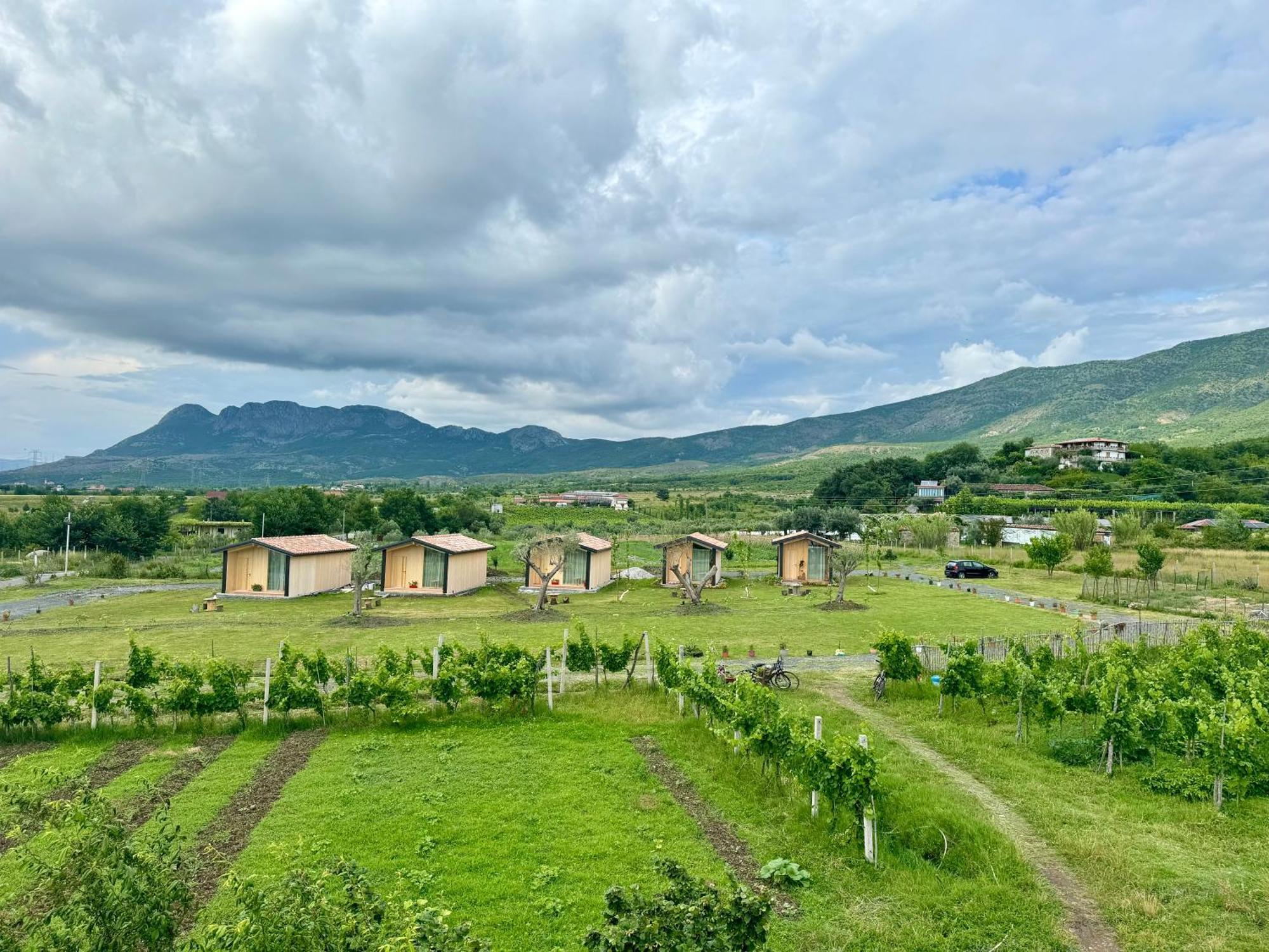 Fishta Guesthouse - Mrizi I Zanave Fishte Exteriér fotografie
