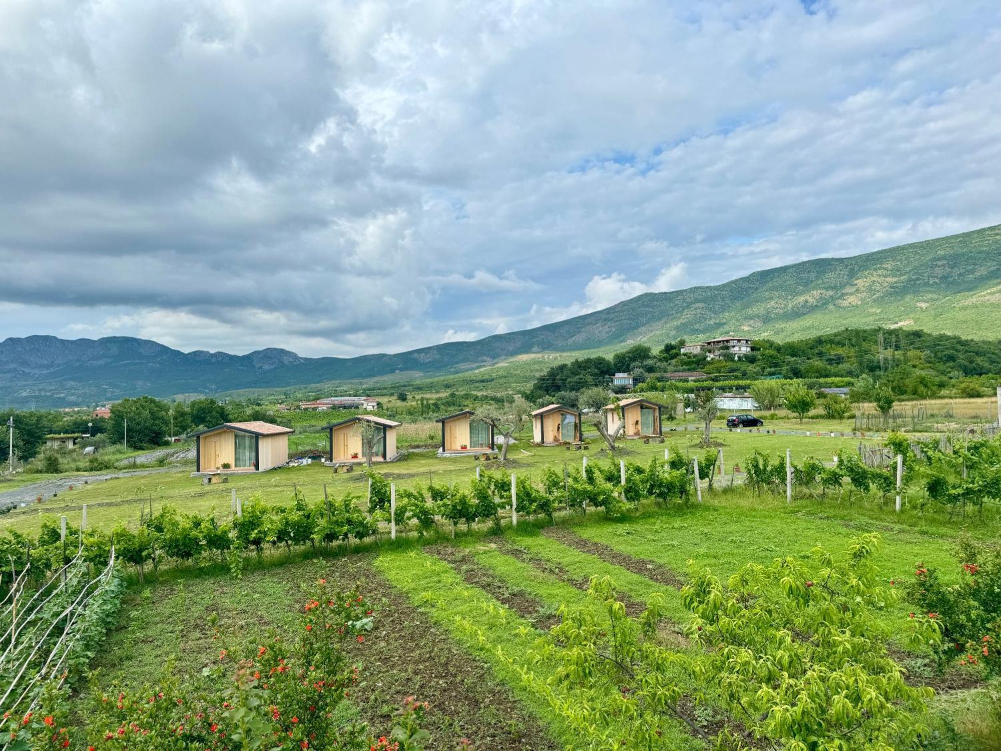 Fishta Guesthouse - Mrizi I Zanave Fishte Exteriér fotografie