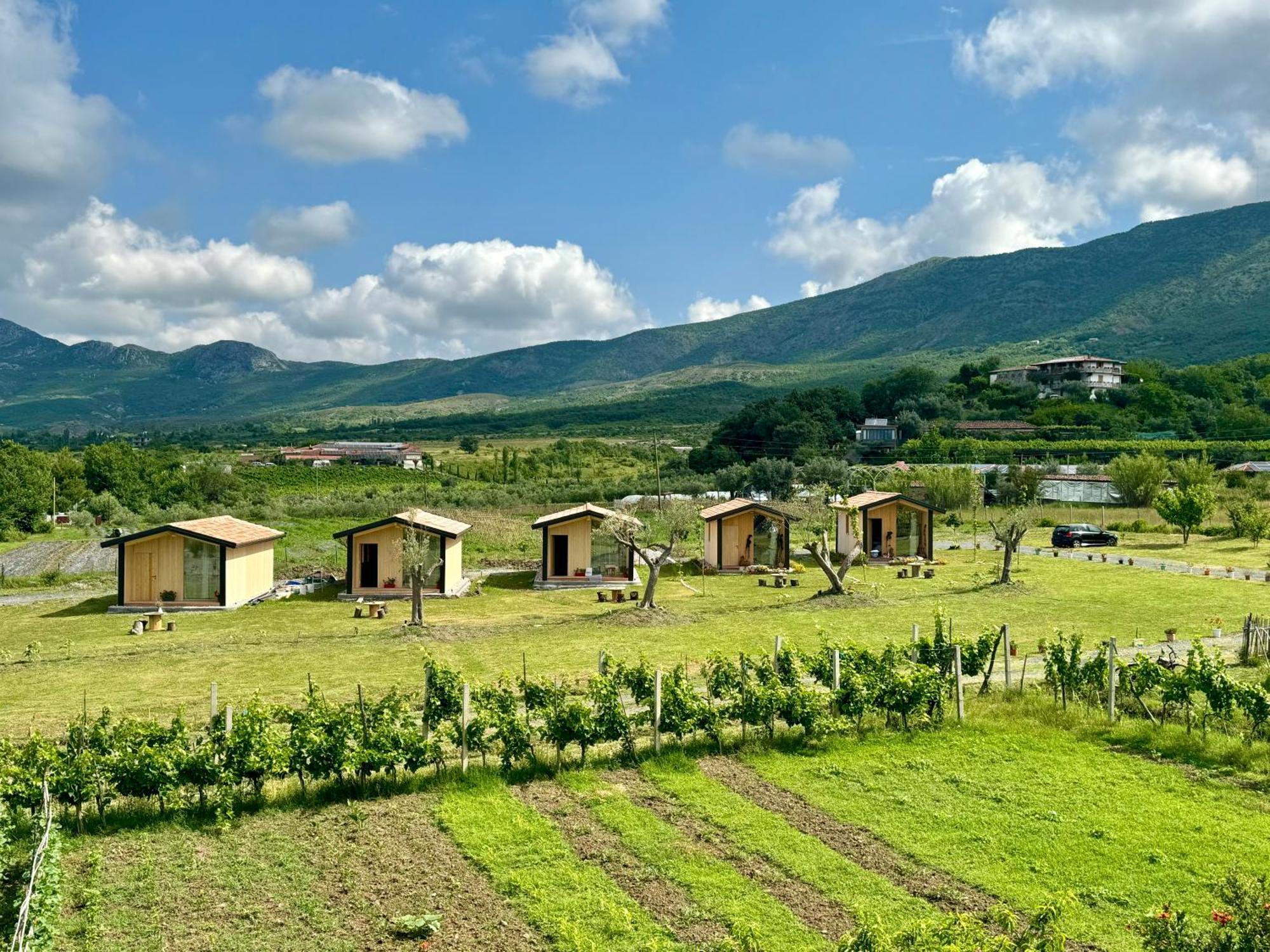 Fishta Guesthouse - Mrizi I Zanave Fishte Exteriér fotografie