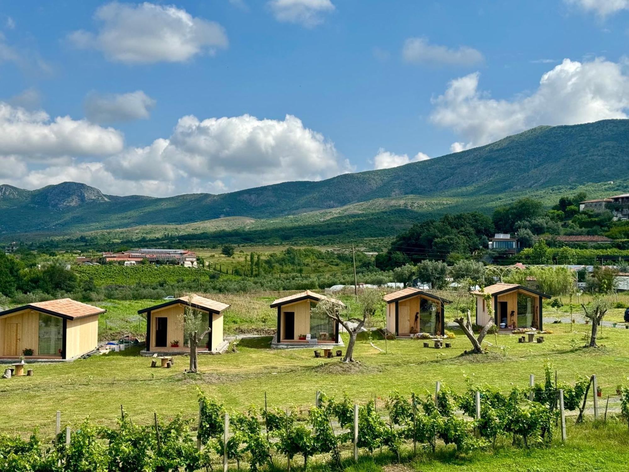 Fishta Guesthouse - Mrizi I Zanave Fishte Exteriér fotografie