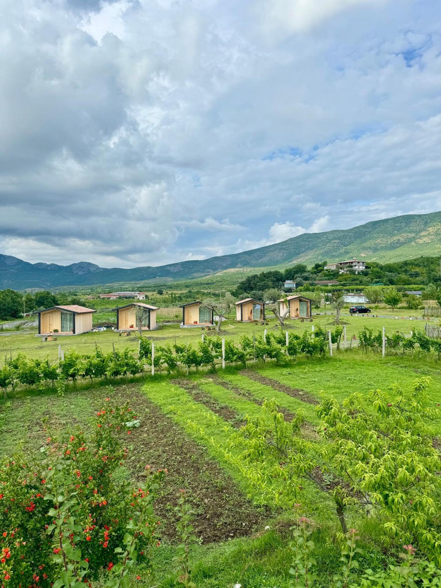 Fishta Guesthouse - Mrizi I Zanave Fishte Exteriér fotografie