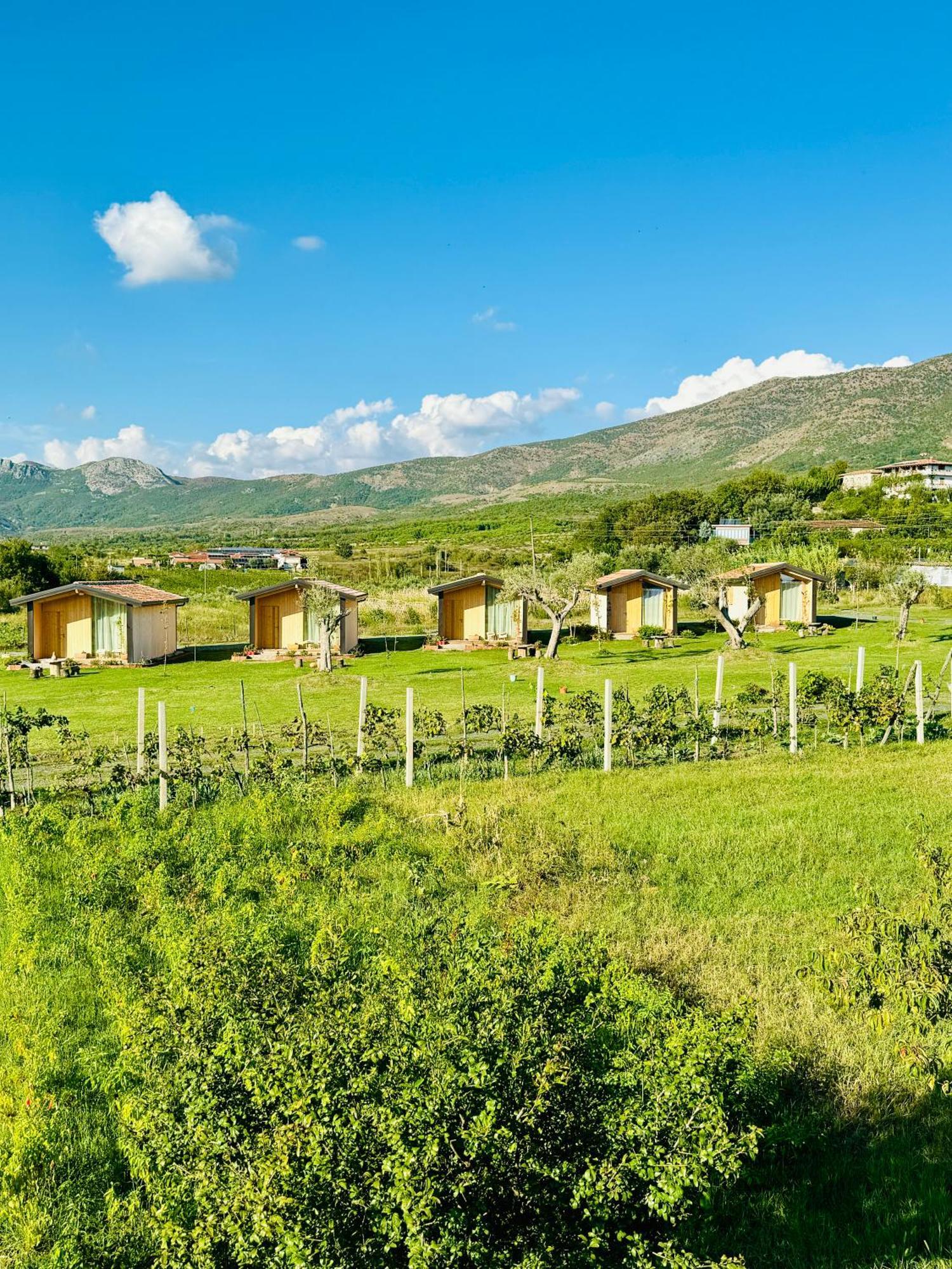 Fishta Guesthouse - Mrizi I Zanave Fishte Exteriér fotografie