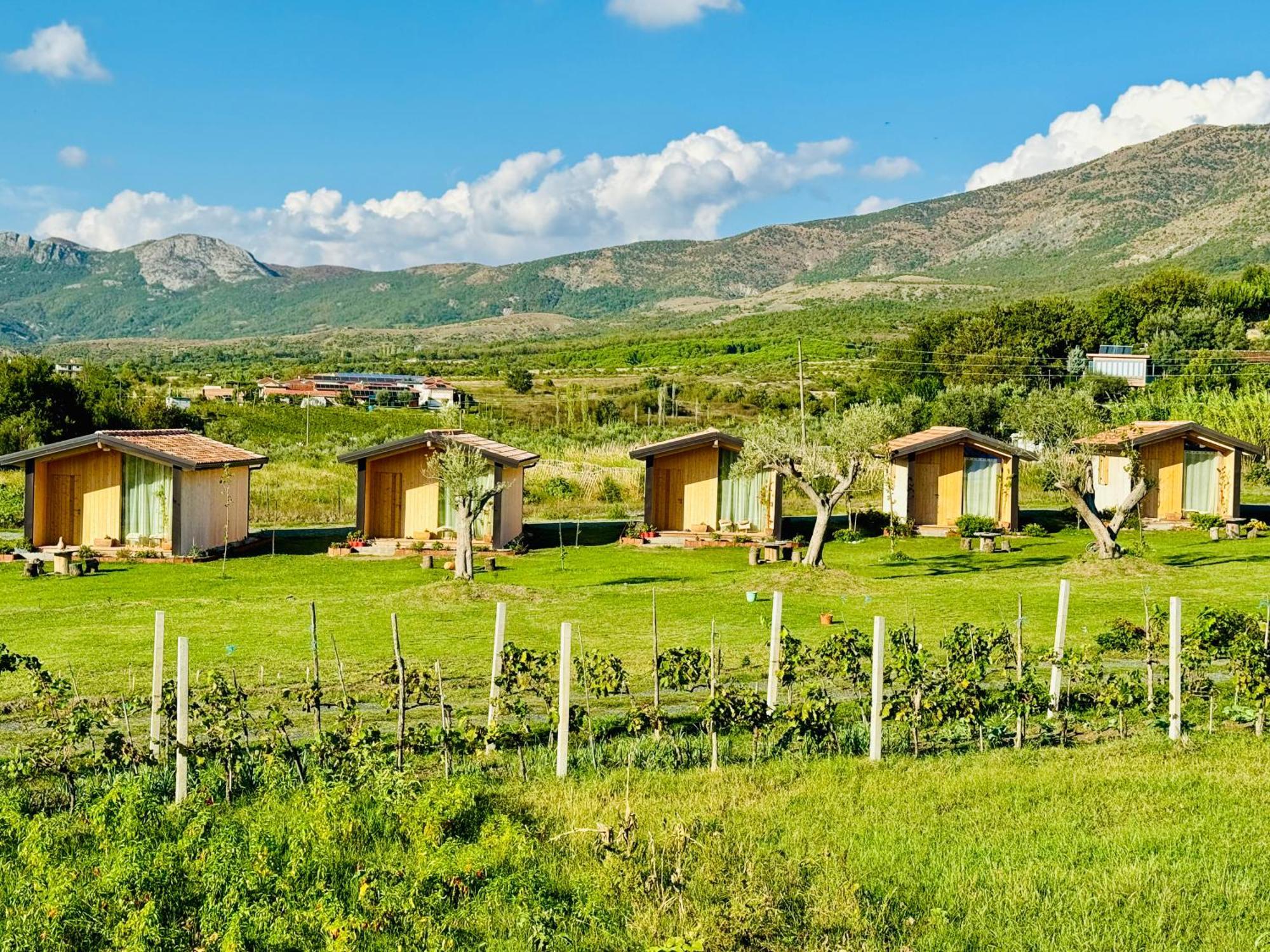 Fishta Guesthouse - Mrizi I Zanave Fishte Exteriér fotografie